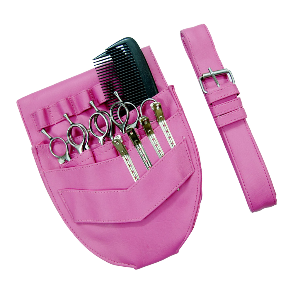Standard Holster